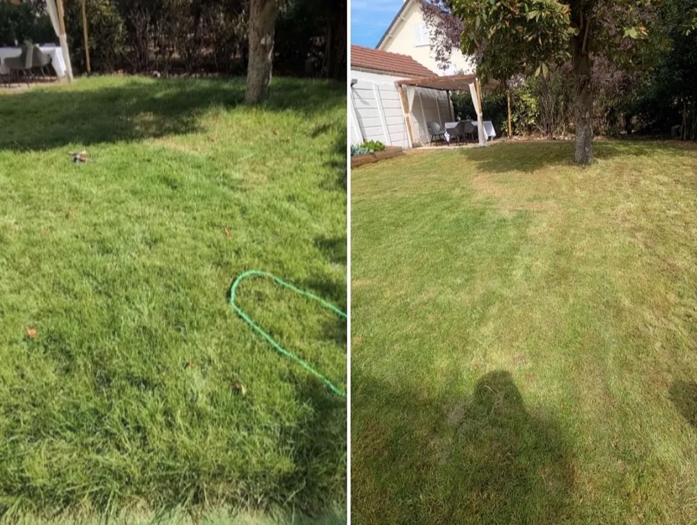 Pelouse avant et après la tonte